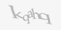Защитный код