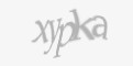 Защитный код